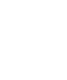 Hollyland